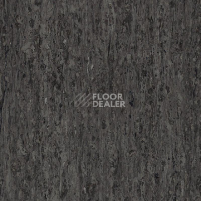 Линолеум Tarkett iq Optima NEUTRAL BLACK 0244 фото 1 | FLOORDEALER